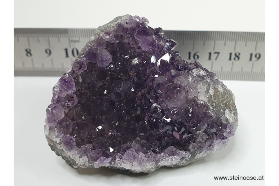 Amethyst Drusenstück  Uruquay